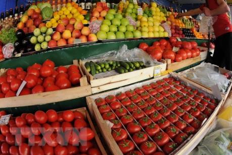 Nga tăng cường hỗ trợ xuất nhập khẩu với thị trường Việt Nam