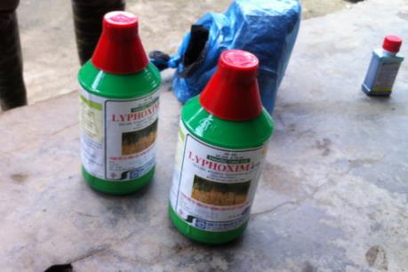 Bắt giữ mẹ kế cho con chồng uống thuốc diệt cỏ