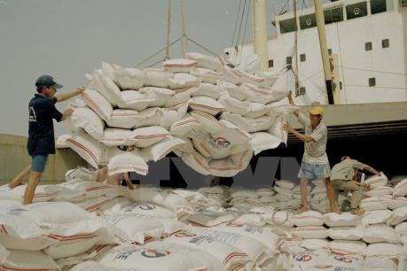 Philippines có thể nhập khẩu thêm 250.000 tấn gạo từ Thái Lan hoặc Việt Nam