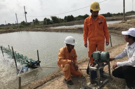 Từ Đề án thí điểm tiết kiệm điện trong nuôi tôm - Bài cuối: Nhìn từ mô hình ở Sóc Trăng