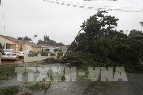 Bảo hiểm thiệt hại do thiên tai trên thế giới năm 2017 cao kỷ lục