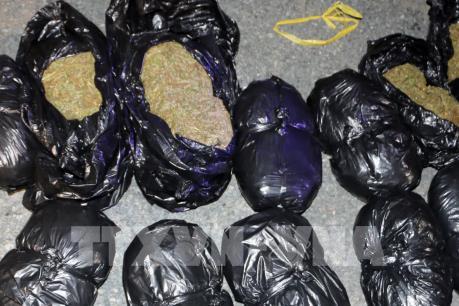 Bắt quả tang vụ vận chuyển trái phép cần sa khô