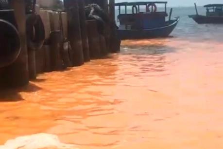 Nguyên nhân nào tạo ra vệt nước màu vàng hồng trên biển Quảng Bình?
