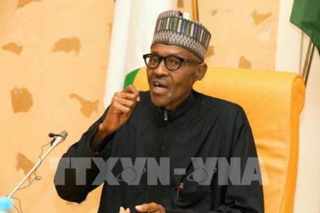 Châu Phi sẽ hưởng lợi nếu Nam Phi và Nigeria ủng hộ thương mại tự do 