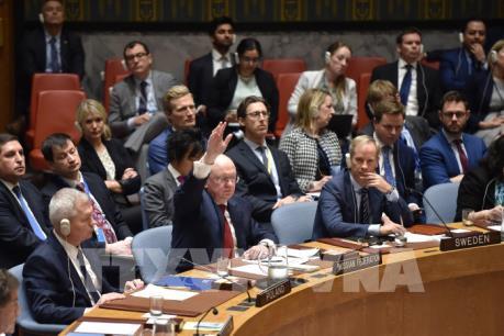 HĐBA LHQ không thông qua dự thảo nghị quyết lên án các cuộc tấn công Syria