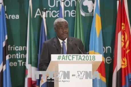 Ủy ban Liên minh châu Phi kêu gọi tôn trọng toàn vẹn lãnh thổ của Syria