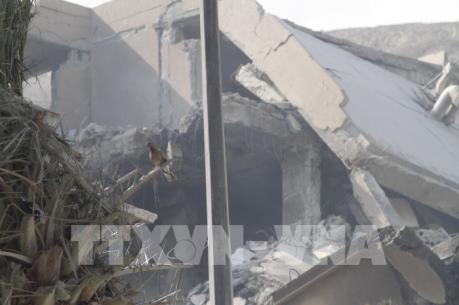 Nghị sĩ EU cảnh báo cuộc không kích Syria ảnh hưởng chính trị lớn 