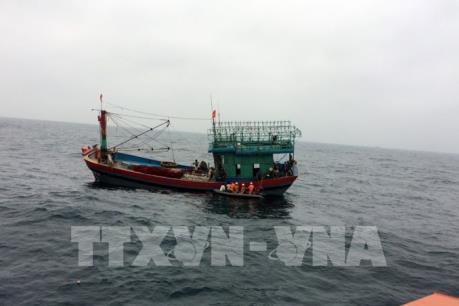 Quảng Ngãi cứu sống 8 thuyền viên trên tàu cá bị nạn tại ngư trường Hoàng Sa