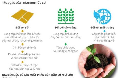 Bạn hiểu gì về phân bón hữu cơ?