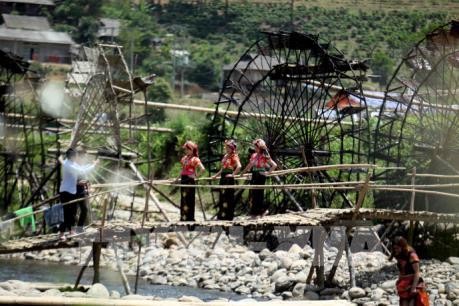 Khách quốc tế đến Việt Nam đã đạt hơn 5,54 triệu lượt