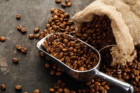 Giá cà phê tuần từ 16-21/4: Gặp khó ở ngưỡng kháng cự 1740-1750 USD/tấn