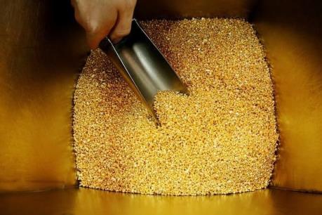 Dự báo giá vàng tuần 16/4 - 21/4