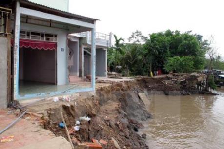 Đồng bằng sông Cửu Long ứng phó với sạt lở: Bài 1: Điêu đứng vì sạt lở 