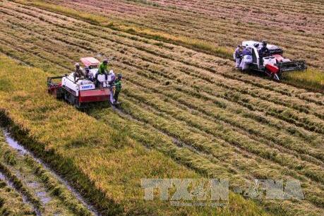 Dự án VnSAT cần mang lại lợi ích thiết thực cho nông dân