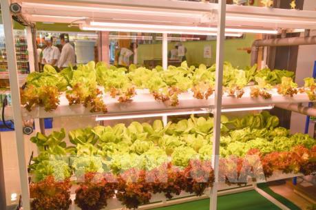Bình Thuận đưa vào hoạt động chuỗi cung ứng nông sản, thực phẩm sạch đầu tiên