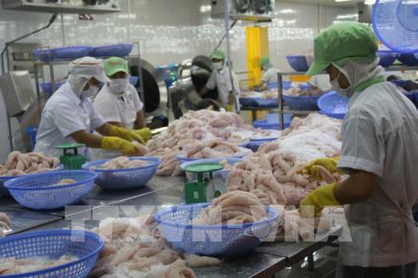 Doanh nghiệp thủy sản Việt Nam muốn mở rộng tại thị trường Trung Quốc