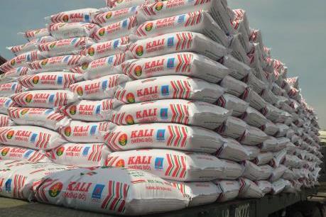 Đạm Cà Mau đảm bảo nguồn cung kali chất lượng cho vụ Hè Thu 2018