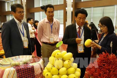 Bước tiến mới trong quan hệ hợp tác Đồng bằng sông Cửu Long – Nhật Bản