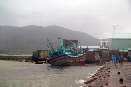 Nhiều giải pháp quản lý, duy tu bảo dưỡng cảng cá