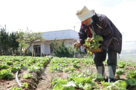 Khuyến khích các doanh nghiệp đầu tư vào nông nghiệp, nông thôn