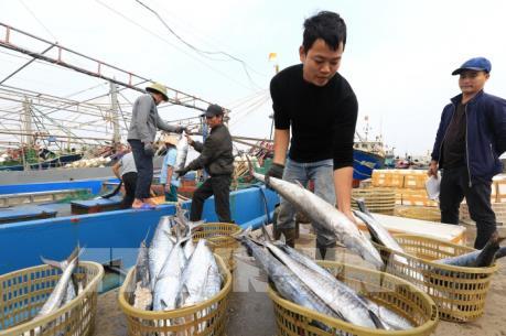 Kiên Giang: Chấm dứt khai thác đánh bắt hải sản trái phép trong thời gian sớm nhất