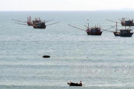 Bắt quả tang nhiều tàu cá mua bán dầu trái phép trên vùng biển Cà Mau