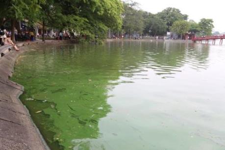 Hà Nội: Xuất hiện váng xanh tại hồ Hoàn Kiếm