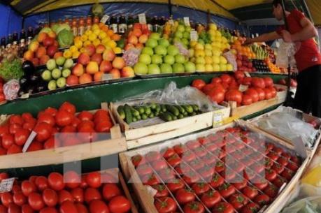 Thí điểm quản lý cửa hàng kinh doanh trái cây tại Hà Nội: Khó, nhưng vẫn phải làm