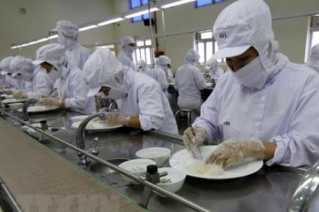 Hướng tới xuất khẩu chính ngạch sản phẩm yến sào