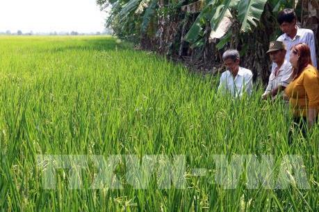 Phê duyệt Đề án phát triển 15.000 Hợp tác xã, liên hiệp Hợp tác xã nông nghiệp