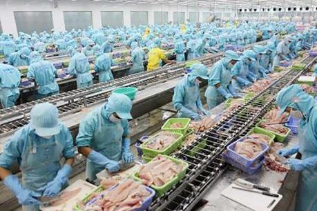Gỡ thẻ vàng cho thủy sản Việt Nam: Bài học từ các nước bạn