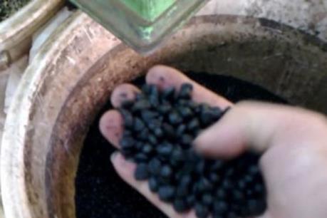 Phú Yên: Xử phạt do vi phạm trong hoạt động thương mại, sản xuất, buôn bán hàng giả