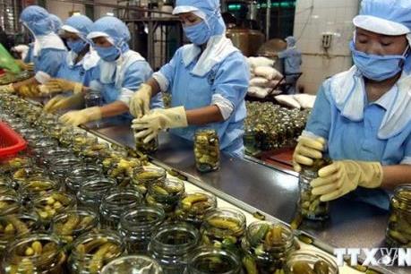 Giá trị xuất khẩu rau quả quý I giảm 9,3%