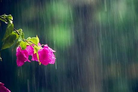 Dự báo thời tiết ngày nghỉ lễ Giỗ Tổ 25/4: Miền Bắc mưa rải rác cả ngày, miền Nam oi nóng