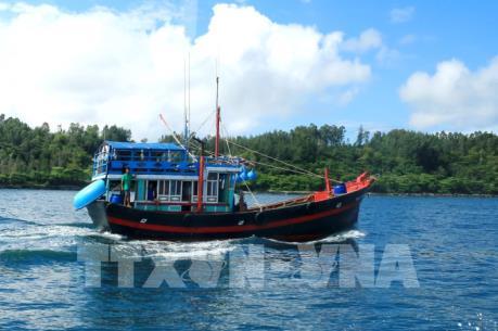 Việt Nam khẳng định quyết tâm chống đánh bắt cá trái phép