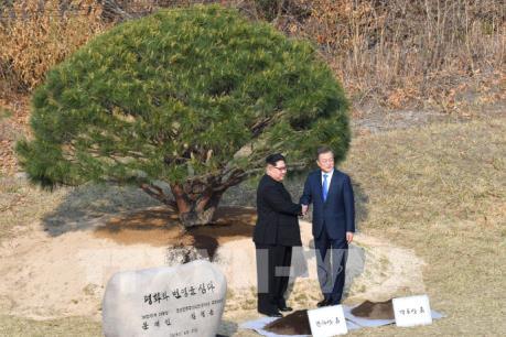 Nga, Nhật Bản đánh giá tích cực kết quả của Hội nghị thượng đỉnh liên Triều