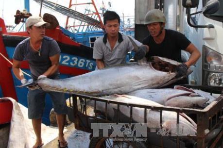 Thừa Thiên - Huế chi hơn 35,8 tỷ đồng hỗ trợ tàu cá đánh bắt xa bờ