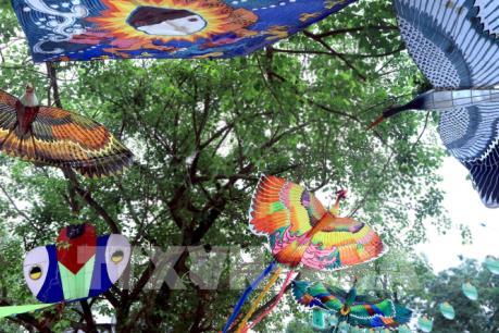 Hoãn tổ chức Festival Huế 2020 do dịch COVID-19