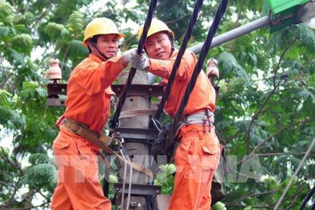 EVNSPC củng cố an toàn lưới điện