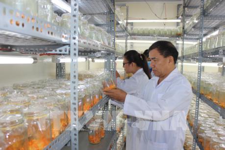 Những doanh nhân cựu chiến binh - Bài 2: Khởi nghiệp… để không tụt hậu