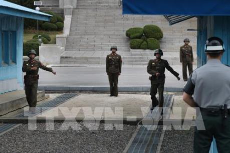 Mỹ, Hàn Quốc, Triều Tiên có thể tổ chức cuộc gặp thượng đỉnh ba bên vào mùa Hè