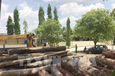 Vụ vận chuyển gỗ lậu quy mô lớn: Đình chỉ công tác 4 cán bộ Bộ đội Biên phòng Đắk Lắk