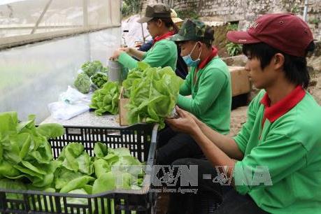 Sắp diễn ra “Phiên chợ xanh tử tế” tại Cần Thơ