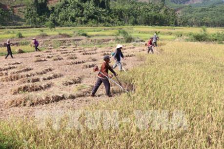 Bình Định: Đồng bào H’Rê nhường chỗ ở cho công trình thủy lợi