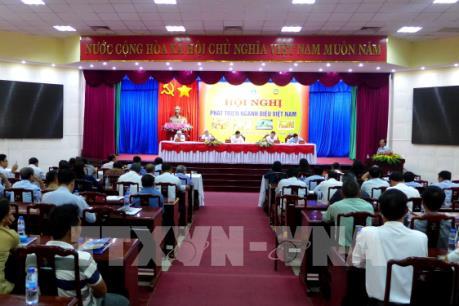 Hướng đi nào cho ngành điều Việt Nam?