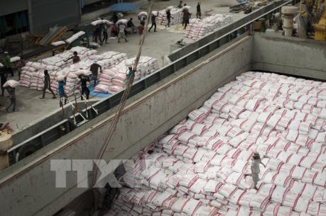 Chính phủ Thái Lan hỗ trợ tín dụng bình ổn giá gạo