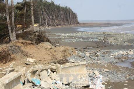 Trà Vinh: Cần di dời gần 700 hộ dân tại các vùng có nguy cơ sạt lở