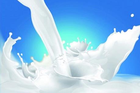 Vinamilk phản hồi thông tin hộ chăn nuôi đổ sữa: Không thỏa hiệp với sữa không đạt chuẩn