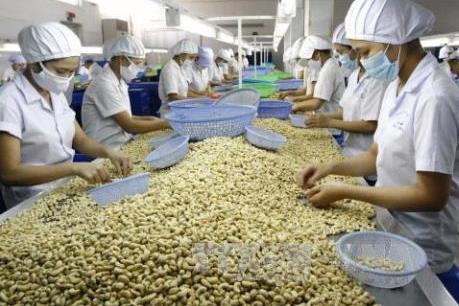 Tái cơ cấu ngành điều Việt Nam theo hướng nâng cao giá trị gia tăng