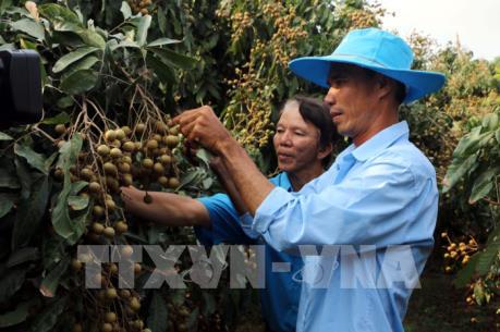 Sóc Trăng đối mặt với nhiều thách thức trong bối cảnh hội nhập kinh tế quốc tế